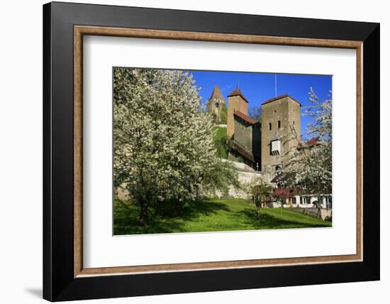 Switzerland, Spring in Fribourg on the Sarine River, Cats Tower and Berne Gate-Uwe Steffens-Framed Photographic Print