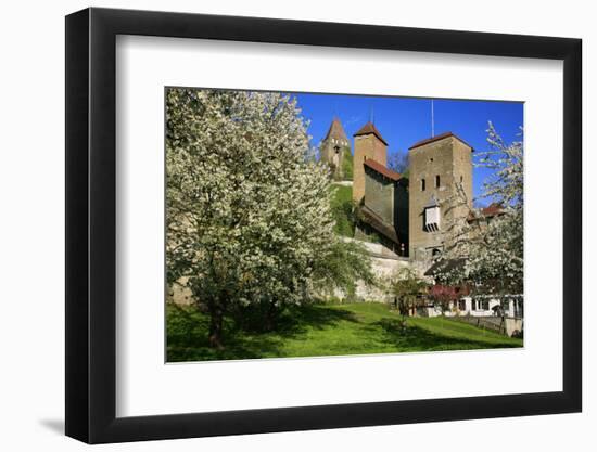 Switzerland, Spring in Fribourg on the Sarine River, Cats Tower and Berne Gate-Uwe Steffens-Framed Photographic Print