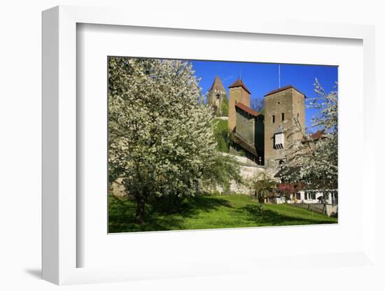 Switzerland, Spring in Fribourg on the Sarine River, Cats Tower and Berne Gate-Uwe Steffens-Framed Photographic Print