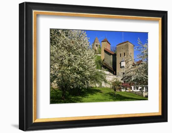 Switzerland, Spring in Fribourg on the Sarine River, Cats Tower and Berne Gate-Uwe Steffens-Framed Photographic Print
