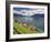 Switzerland, Vaud, Lavaux Vineyards, St; Saphorin Village and Lac Leman / Lake Geneva-Michele Falzone-Framed Photographic Print