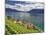 Switzerland, Vaud, Lavaux Vineyards, St; Saphorin Village and Lac Leman / Lake Geneva-Michele Falzone-Mounted Photographic Print