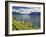 Switzerland, Vaud, Lavaux Vineyards, St; Saphorin Village and Lac Leman / Lake Geneva-Michele Falzone-Framed Photographic Print