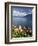 Switzerland, Vaud, Lavaux Vineyards, St; Saphorin Village and Lac Leman / Lake Geneva-Michele Falzone-Framed Photographic Print