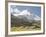 Switzerland, Zermatt, Schwarzsee, Valais Blacknose Sheep with Matterhorn-Jamie And Judy Wild-Framed Photographic Print