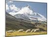 Switzerland, Zermatt, Schwarzsee, Valais Blacknose Sheep with Matterhorn-Jamie And Judy Wild-Mounted Photographic Print