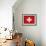 Switzerland-David Bowman-Framed Giclee Print displayed on a wall