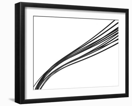 Swoop I-Monika Burkhart-Framed Photographic Print