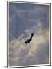 Swooping Down on a Hostile Plane-Christopher Richard Wynne Nevinson-Mounted Giclee Print