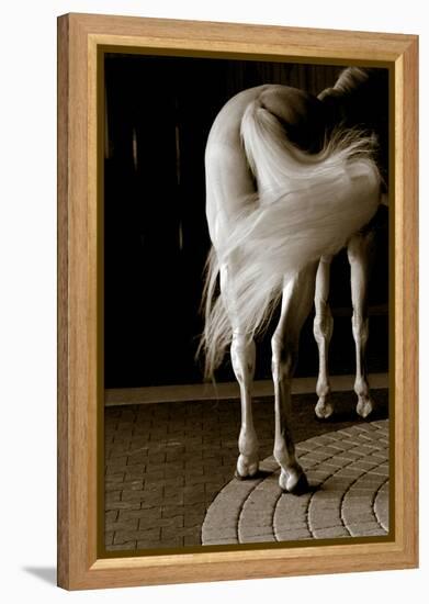 Swoosh-Jim Dratfield-Framed Stretched Canvas