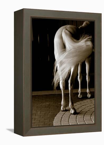 Swoosh-Jim Dratfield-Framed Stretched Canvas
