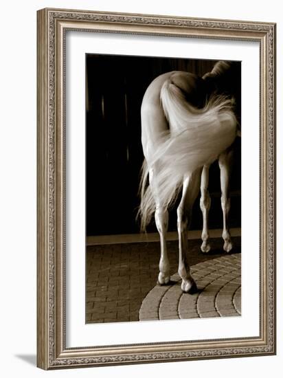 Swoosh-Jim Dratfield-Framed Photo