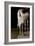 Swoosh-Jim Dratfield-Framed Photo