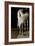 Swoosh-Jim Dratfield-Framed Photo