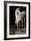 Swoosh-Jim Dratfield-Framed Photo