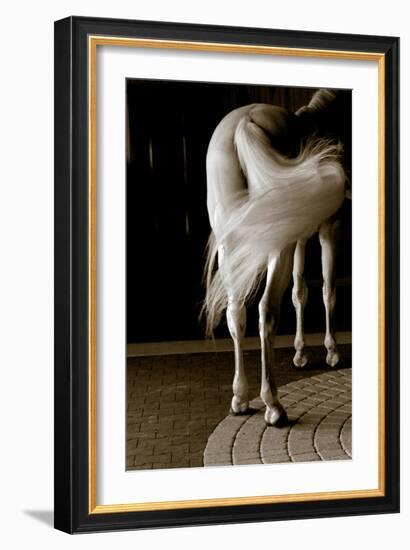 Swoosh-Jim Dratfield-Framed Photo