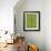 Sword Fern-Don Paulson-Framed Giclee Print displayed on a wall