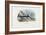 Swordfish, 1863-79-Raimundo Petraroja-Framed Giclee Print