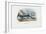 Swordfish, 1863-79-Raimundo Petraroja-Framed Giclee Print