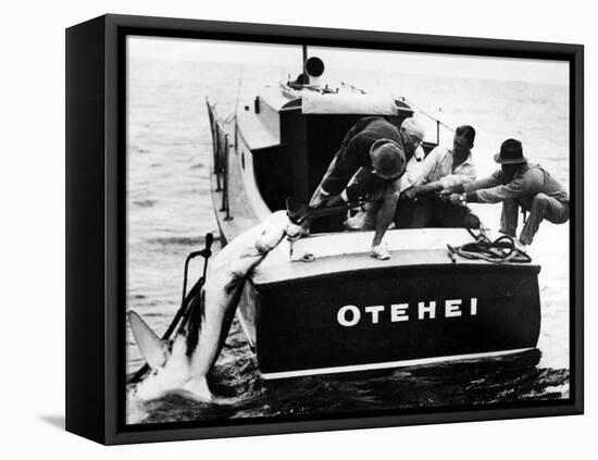 Swordfish Haul!-null-Framed Premier Image Canvas