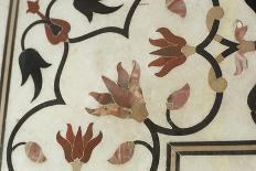 Detail of Inlay Work, Taj Mahal, Unesco World Heritage Site, Agra, India-Sybil Sassoon-Photographic Print