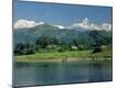 Premium Photographic Print