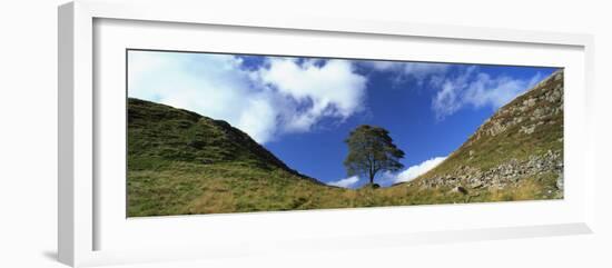 Sycamore Gap, Hadrian's Wall, Near Hexham, Northumberland, England, United Kingdom, Europe-Lee Frost-Framed Photographic Print