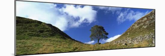 Sycamore Gap, Hadrian's Wall, Near Hexham, Northumberland, England, United Kingdom, Europe-Lee Frost-Mounted Photographic Print