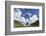 Sycamore Gap, Hadrian's Wall, Northumberland, England, United Kingdom-Ann & Steve Toon-Framed Photographic Print