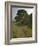 Sycamore Gap, Hadrian's Wall, Nothumberland-James Emmerson-Framed Photographic Print