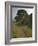 Sycamore Gap, Hadrian's Wall, Nothumberland-James Emmerson-Framed Photographic Print