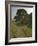 Sycamore Gap, Hadrian's Wall, Nothumberland-James Emmerson-Framed Photographic Print