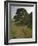 Sycamore Gap, Hadrian's Wall, Nothumberland-James Emmerson-Framed Photographic Print