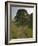 Sycamore Gap, Hadrian's Wall, Nothumberland-James Emmerson-Framed Photographic Print