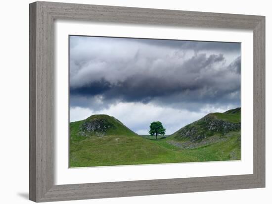 Sycamore Gap on Hadrian's Wall, Storm Sky, from A6318 Between Housesteads Fort and Greenhead,…-null-Framed Photographic Print