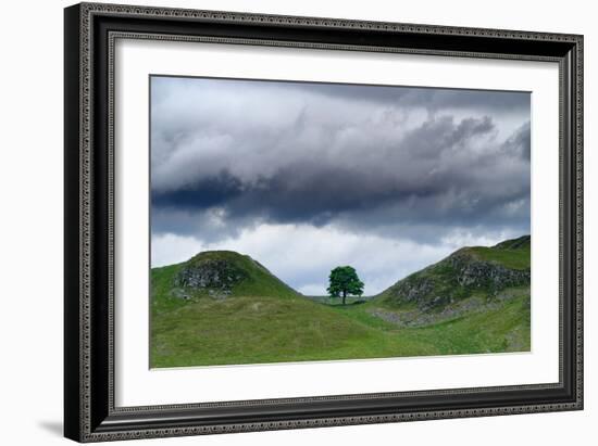 Sycamore Gap on Hadrian's Wall, Storm Sky, from A6318 Between Housesteads Fort and Greenhead,…-null-Framed Photographic Print