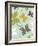 Sycamore Leaves-Rachel Gresham-Framed Giclee Print