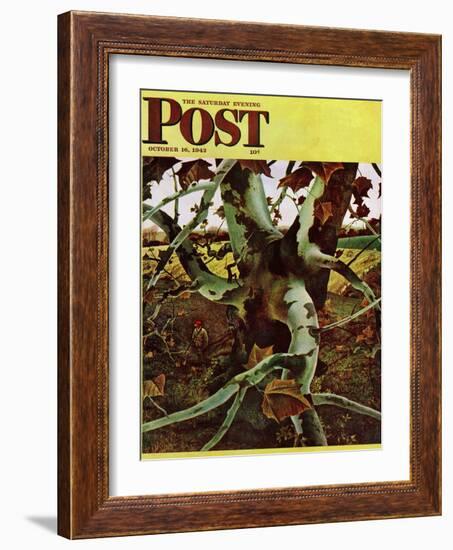 "Sycamore Tree and Hunter," Saturday Evening Post Cover, October 16, 1943-Andrew Wyeth-Framed Giclee Print