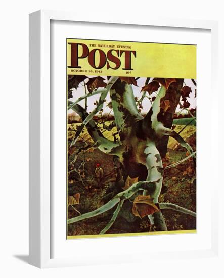 "Sycamore Tree and Hunter," Saturday Evening Post Cover, October 16, 1943-Andrew Wyeth-Framed Giclee Print