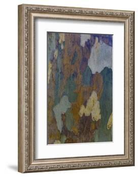 Sycamore tree bark design Oak Creek, Arizona.-Darrell Gulin-Framed Photographic Print