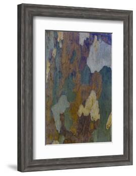 Sycamore tree bark design Oak Creek, Arizona.-Darrell Gulin-Framed Photographic Print