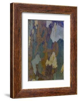 Sycamore tree bark design Oak Creek, Arizona.-Darrell Gulin-Framed Photographic Print