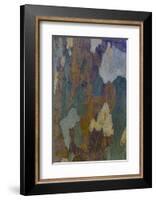 Sycamore tree bark design Oak Creek, Arizona.-Darrell Gulin-Framed Photographic Print