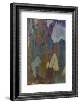 Sycamore tree bark design Oak Creek, Arizona.-Darrell Gulin-Framed Photographic Print