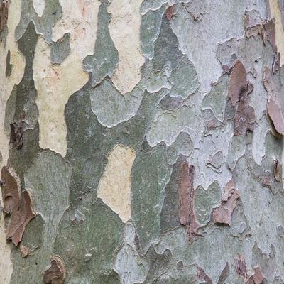 Lang Furniture Oak Creek 6 Drawer Dresser With Images Dresser Drawers Double Dresser Dresser