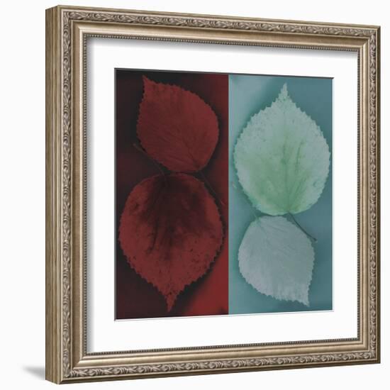 Sycamore-Jane Ann Butler-Framed Giclee Print