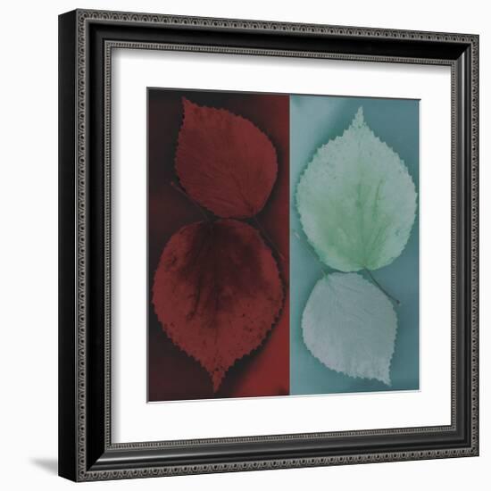 Sycamore-Jane Ann Butler-Framed Giclee Print