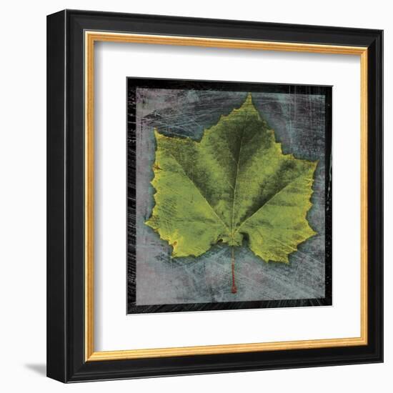 Sycamore-John W^ Golden-Framed Art Print