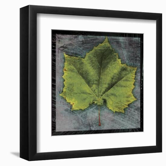 Sycamore-John W^ Golden-Framed Art Print