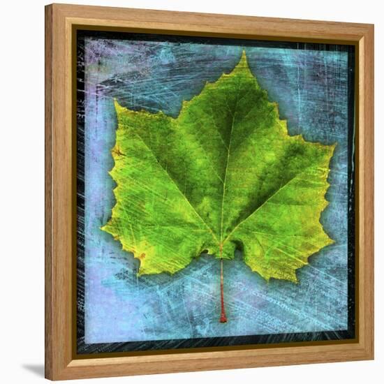 Sycamore-John W Golden-Framed Premier Image Canvas